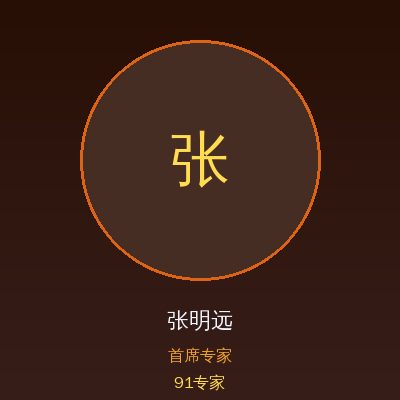 91张明远